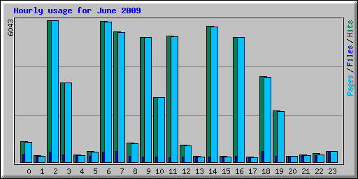 Hourly usage for June 2009