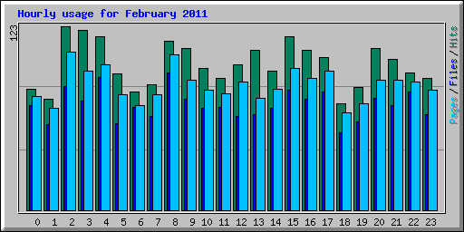 Hourly usage for February 2011