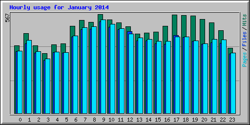 Hourly usage for January 2014