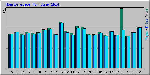 Hourly usage for June 2014