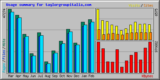 Usage summary for taylorgroupitalia.com